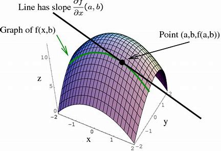 fig: Illustration of partial derivative