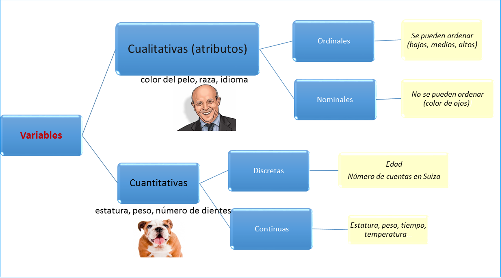 Resumen de los tipos de variables.