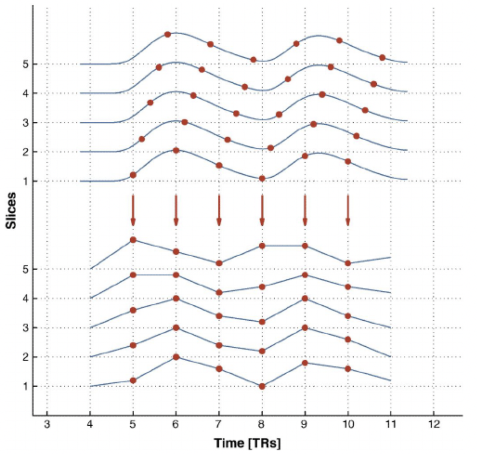 Correction for slice timing. 圖源:Sladky et al (2011).