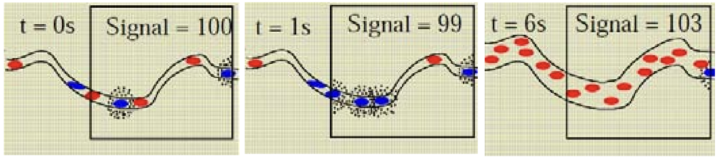 藍點代表 deoxy Hb;紅點代表 oxy Hb。圖源:Matthijs Vink, *Preprocessing and analysis of functional MRI data*, 2007.