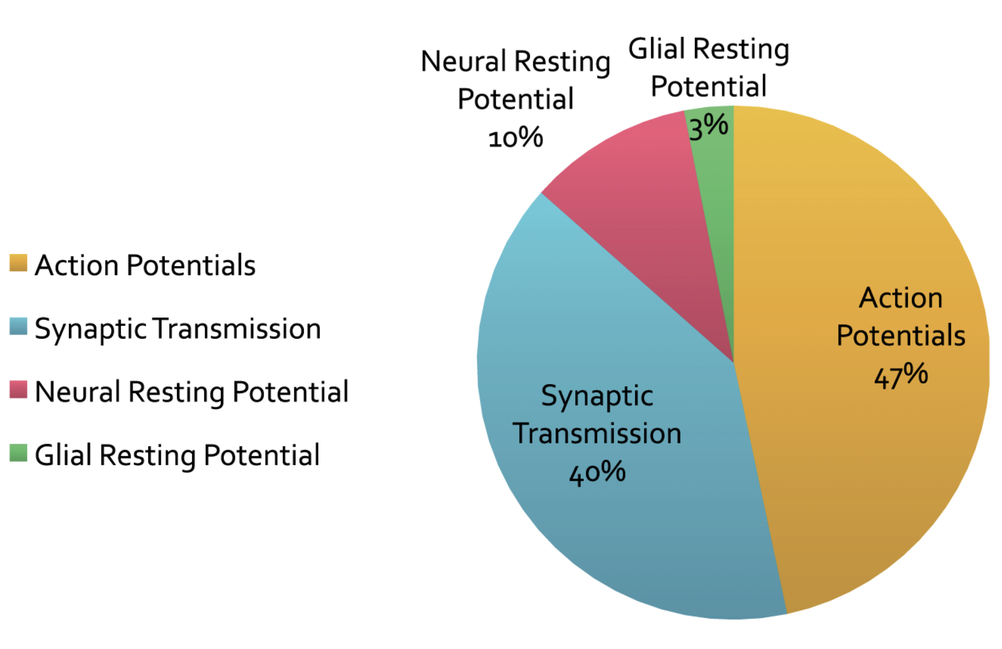 圖源:Sengupta, B., Stemmler, M. B., & Friston, K. J. (2013). Information and efficiency in the nervous system—a synthesis. *PLoS computational biology, 9*(7), e1003157.