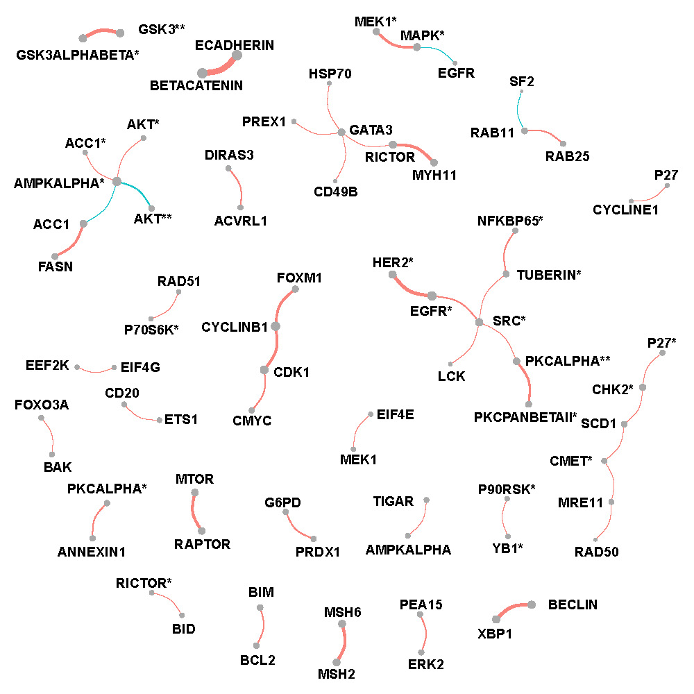 Network of selected protein pairs in BRCA patients.