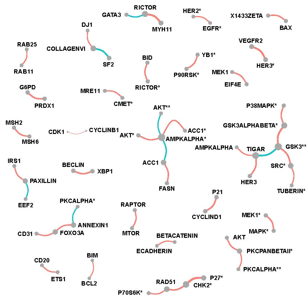 Network of selected protein pairs in CESC patients.