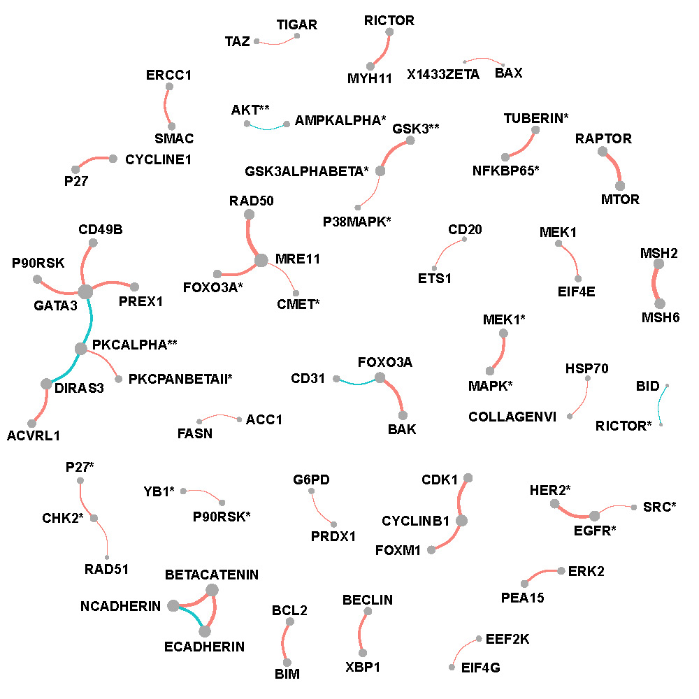 Network of selected protein pairs in OV patients.