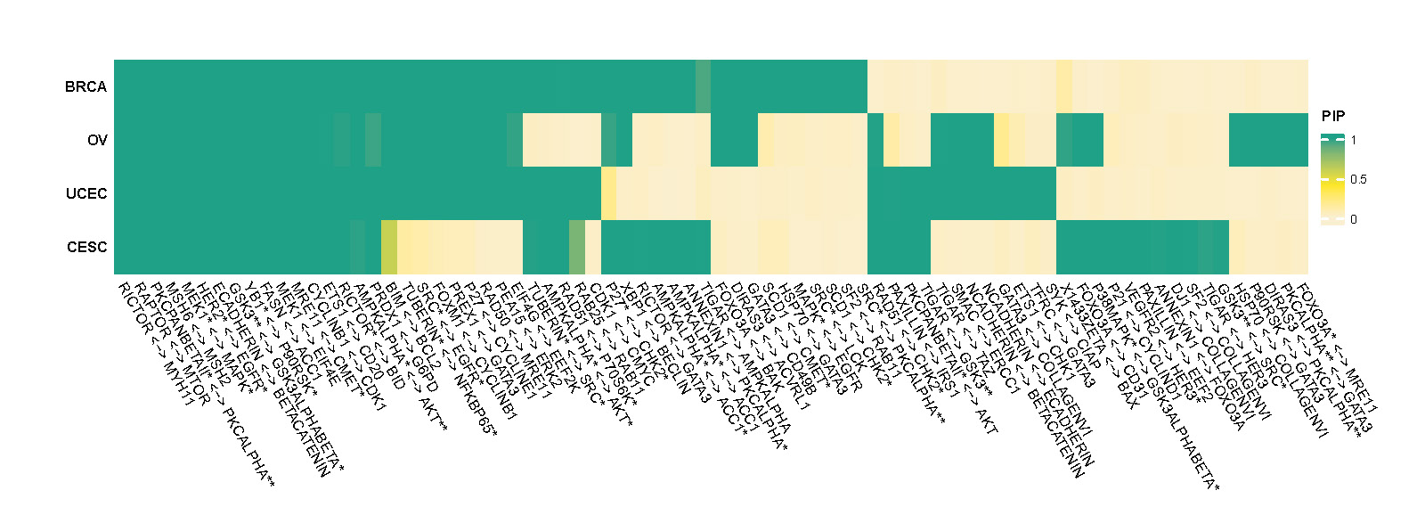 Posterior inclusion probability (PIP) of selected edges in each type of cancer.