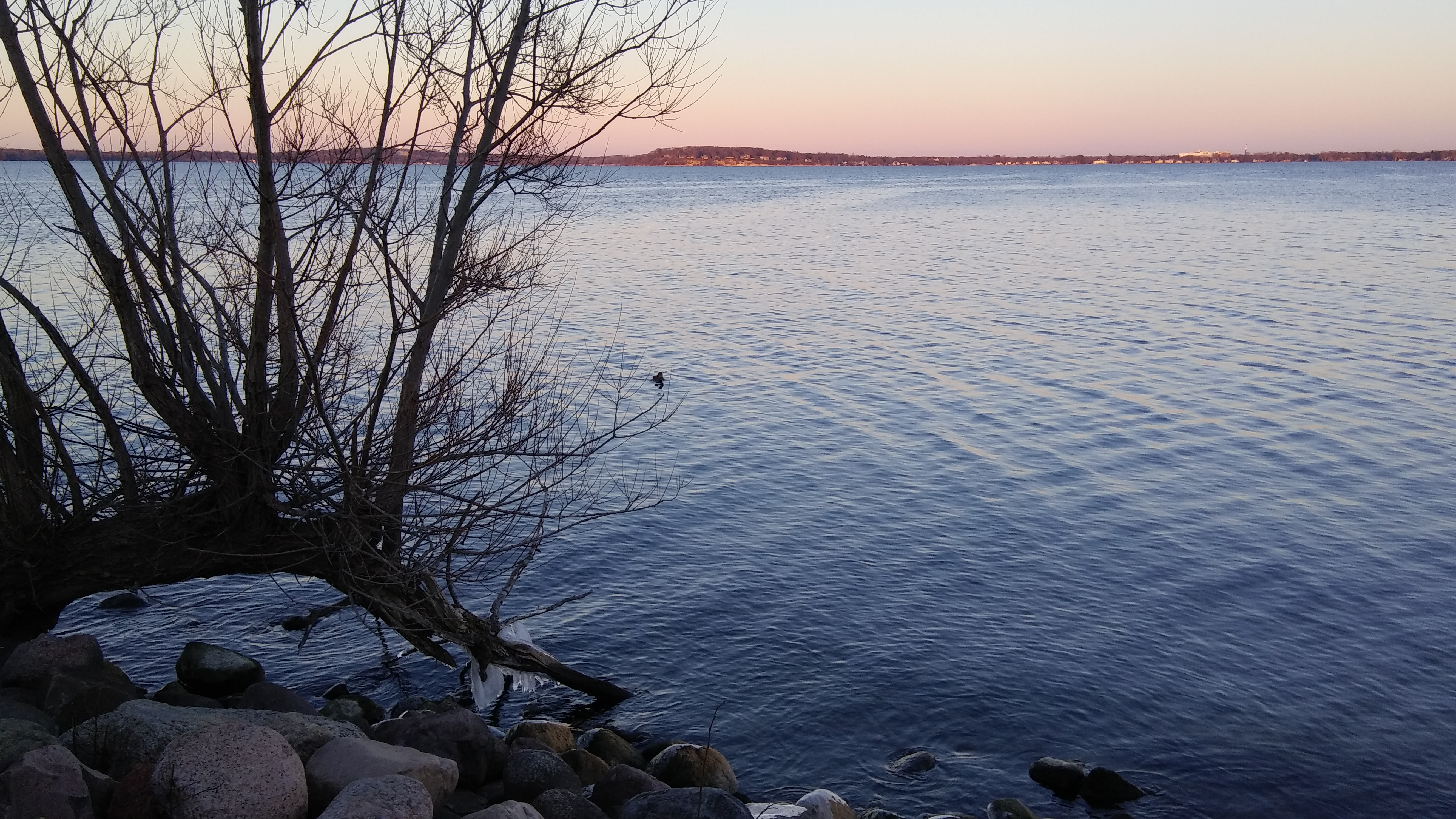 Maple Bluff 2020-12-02 Maple Bluff from Picnic Point on December 2, 2020