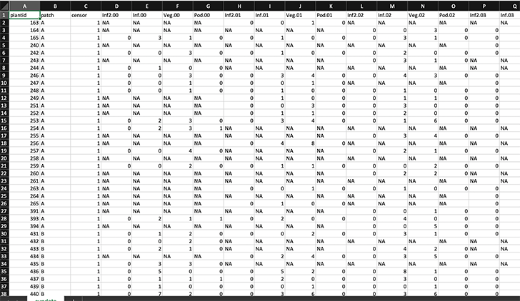 Horizontally-formatted dataset covering the Cypripedium candidum data