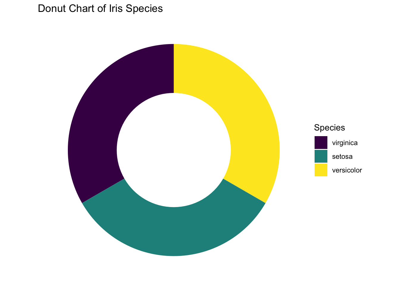 Pie chart or a donut chart