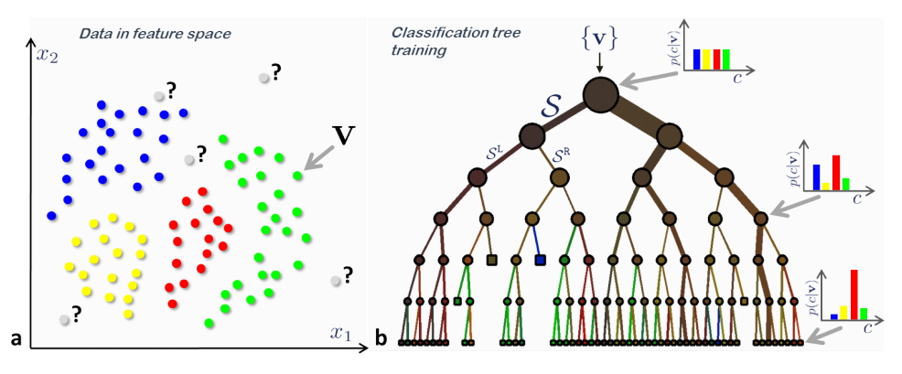 “Example Tree”