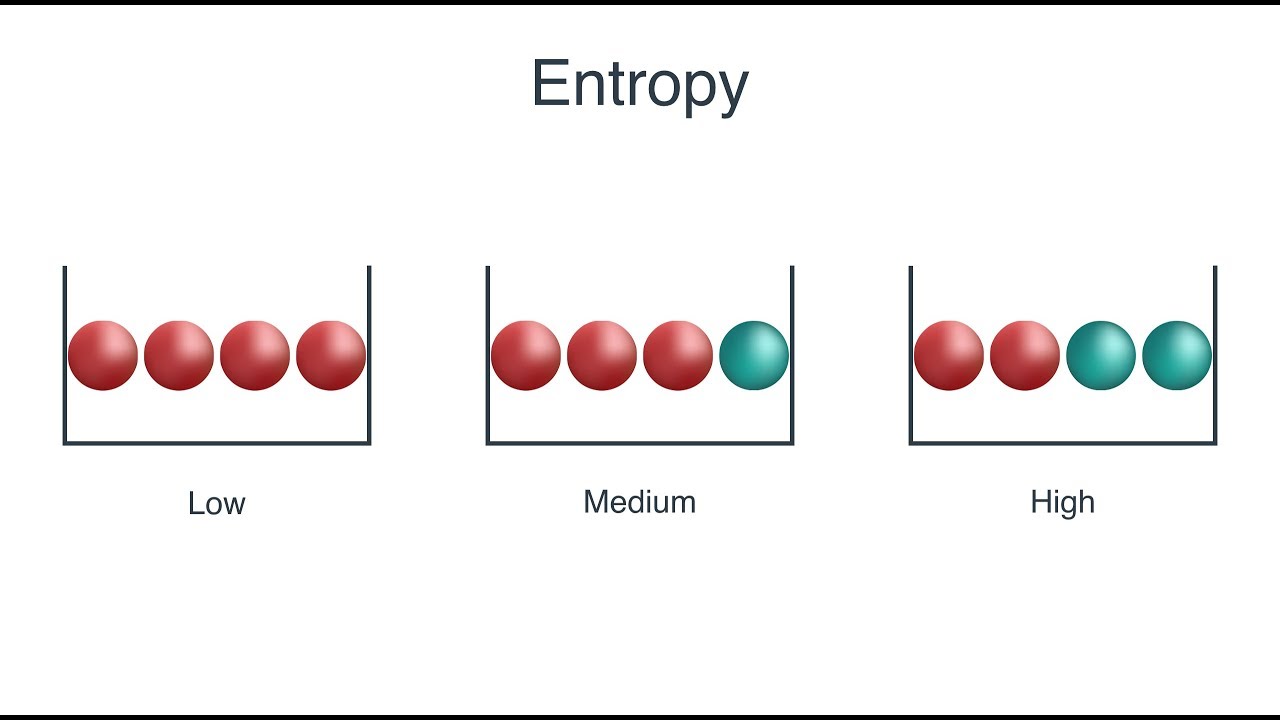 “Example Tree”