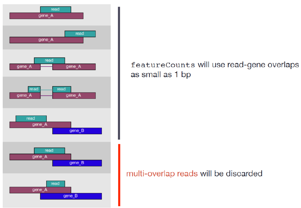 **Counting reads: Union**