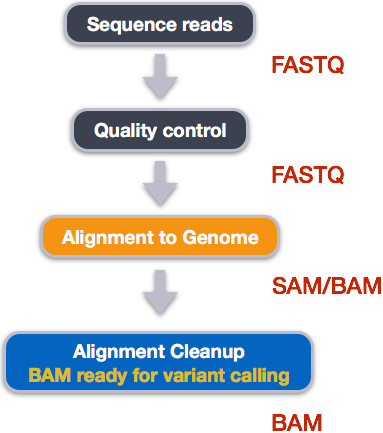 **Gene counting workflow**