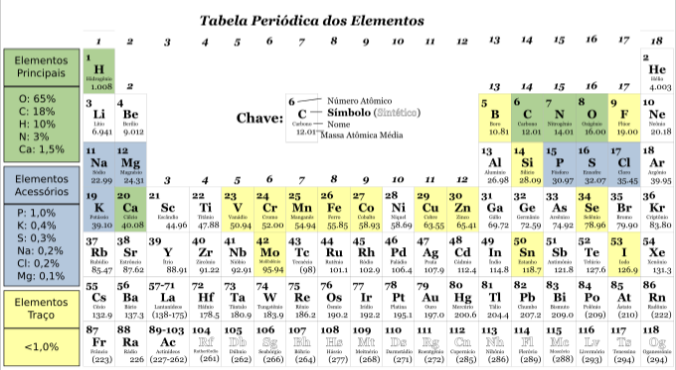 Tabela periódica ressaltando os elementos químicos que constituem usualmente os vertebrados, bem como a proporção de contribuição de cada um.