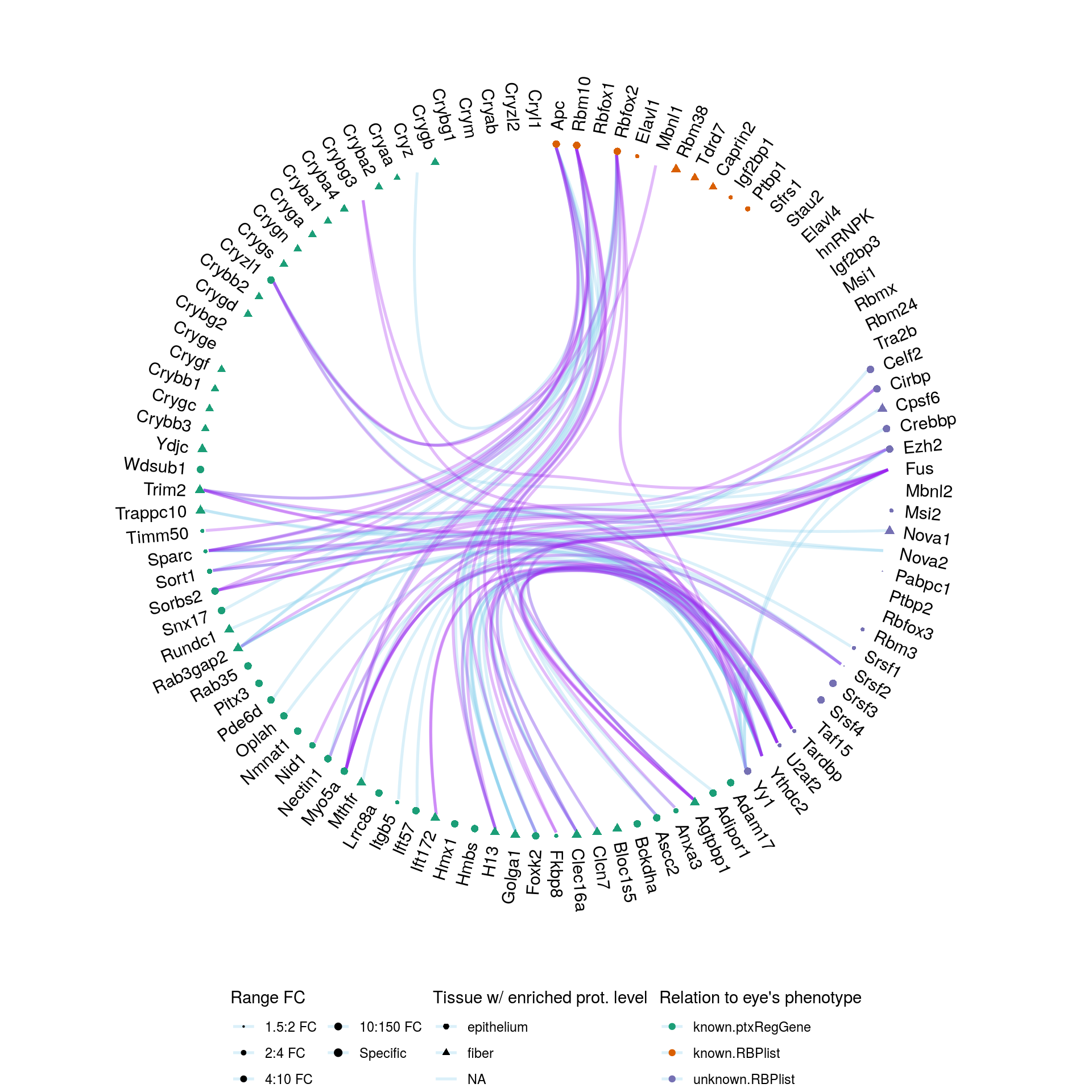 \label{fig:figs}Reported interactions between genes potentially ptx-regulated and RNA binding proteins. Only interactions where at least one actor is known to be associated with eye's phenotype are shown.