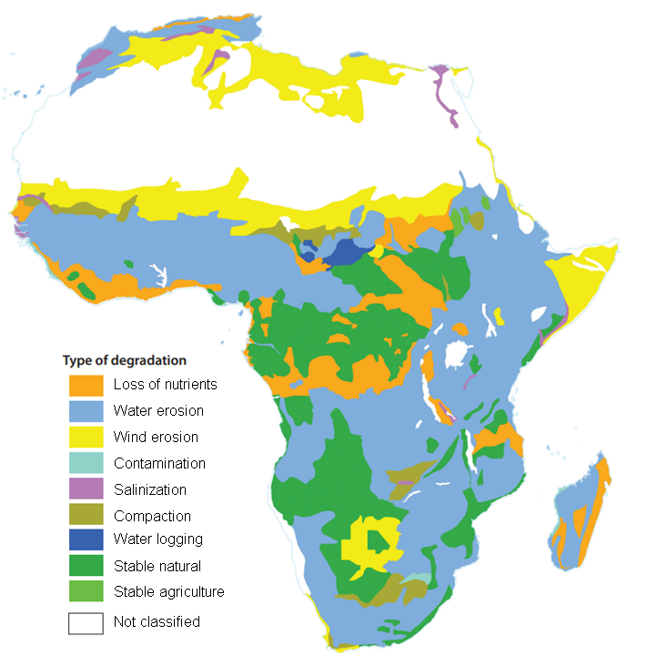 Example of approximate distribution of some types of soil degradation in Africa (adapted from Jones et al. 2013)