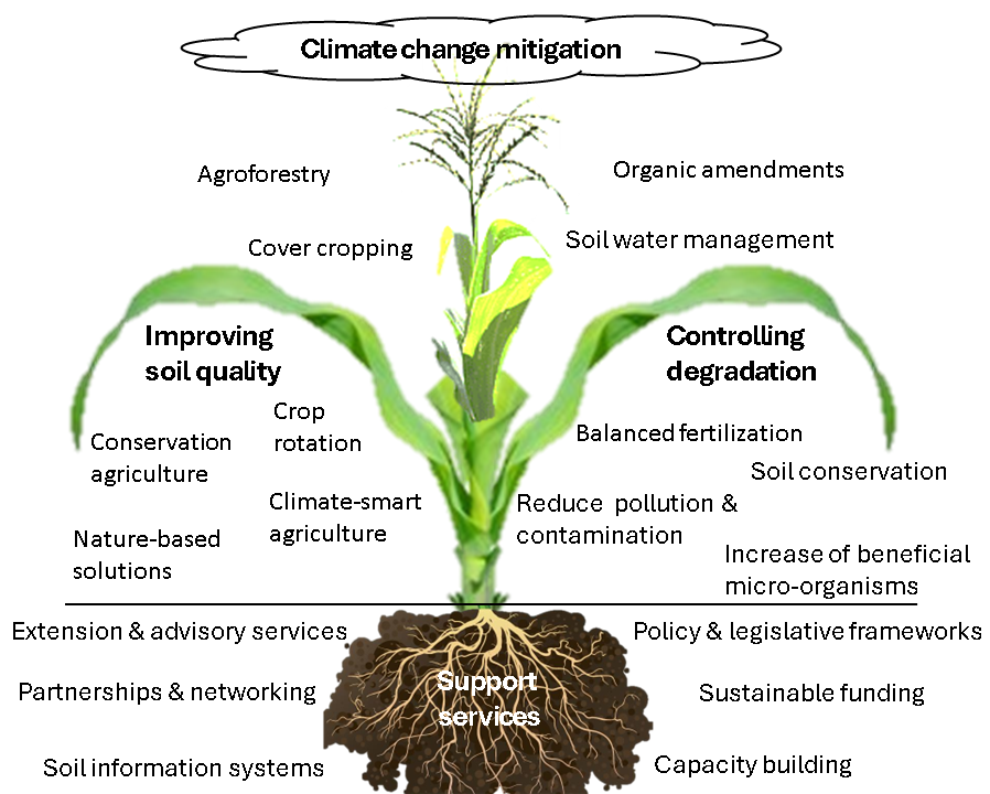 Examples of soil health practices