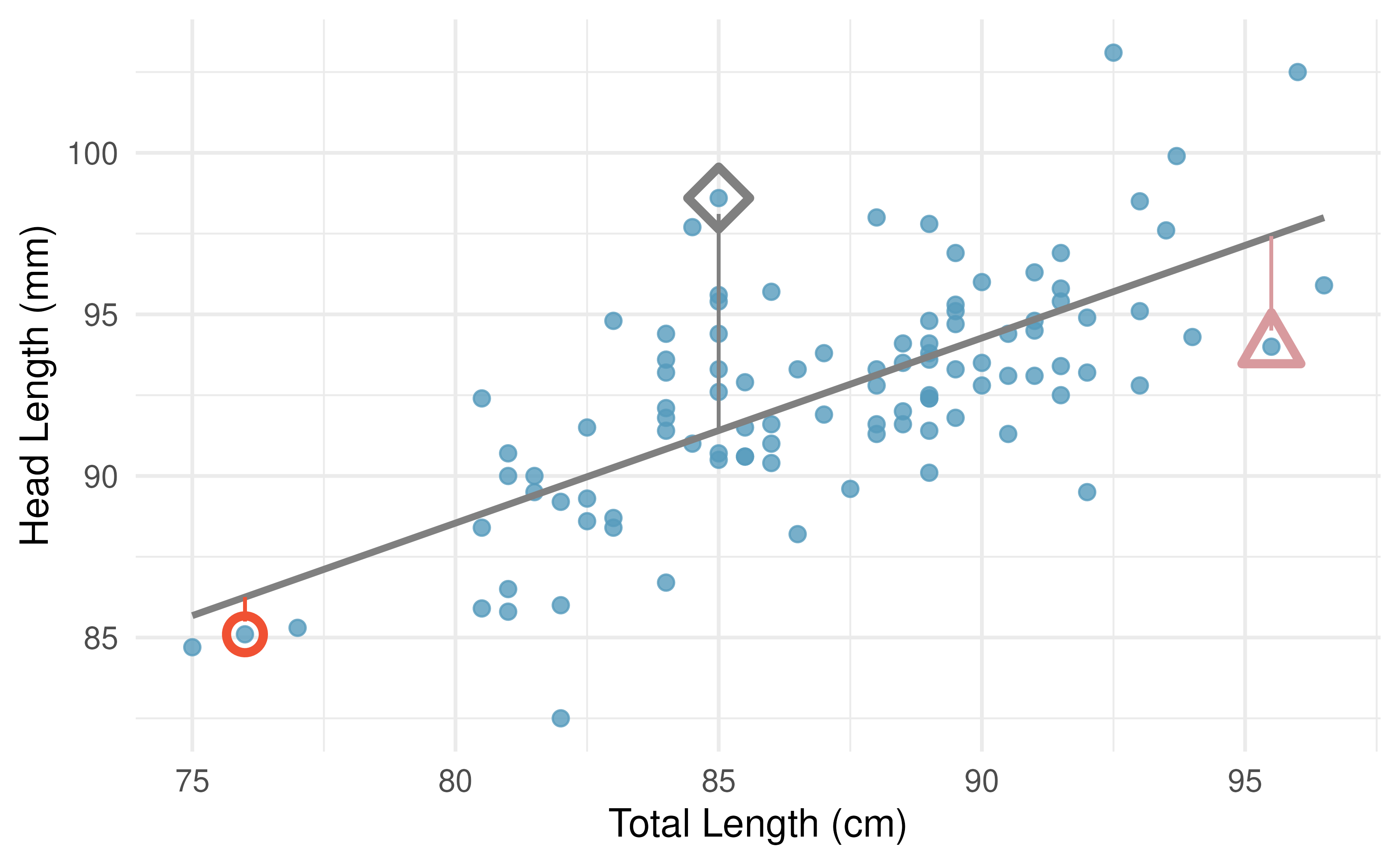 A reasonable linear model was fit to represent the relationship between head length and total length, with three points highlighted.