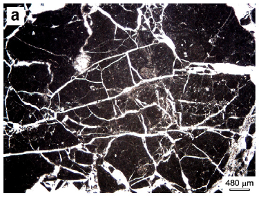 In (a) coarse and angular grains are in contact with one another (embryonic cataclastic fabric). Small grains forming a fine matrix are almost absent. Note the network of extensional fractures. In (b) coarse grains start to be rounded and surrounded by a fine matrix (intermediate cataclastic fabric). In (c) coarse grains are rare and rarely in contact with one another because an abundant fine matrix surrounds them (mature cataclastic fabric).