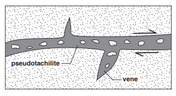 Pseudotachylite pattern (grey) in a fault plane