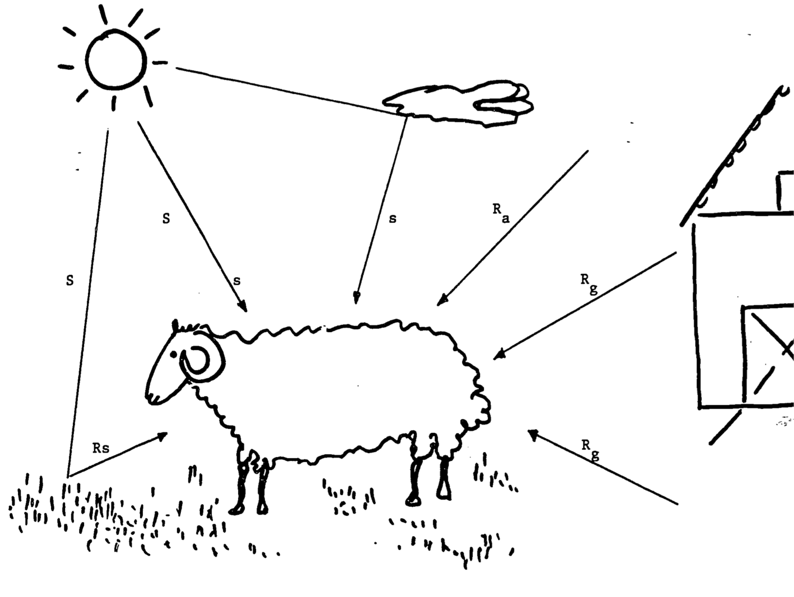 Energy gained by sheep from envrionment. Symbols are as follows: S = direct solar radiation, s = sky radiation, $R_s$ = reflected solar radiation; $R_g$, $R_a$ = long-wave (thermal) radiation from ground and air, respectively.