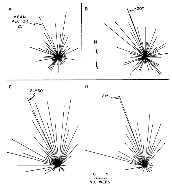 Funnel orientations for various habitats and sample groups in June 1971. (A) All webs in lava study area, (B) all webs in mixed-grassland study area, (C) all unprotected surface webs from all habitats, and (D) all webs from a rangeland plot lacking depressions and shrubs. Orientations represent compass directions to which the funnels face. From Riechert, S.E., and C. R. Tracy. 1975. P. 271.