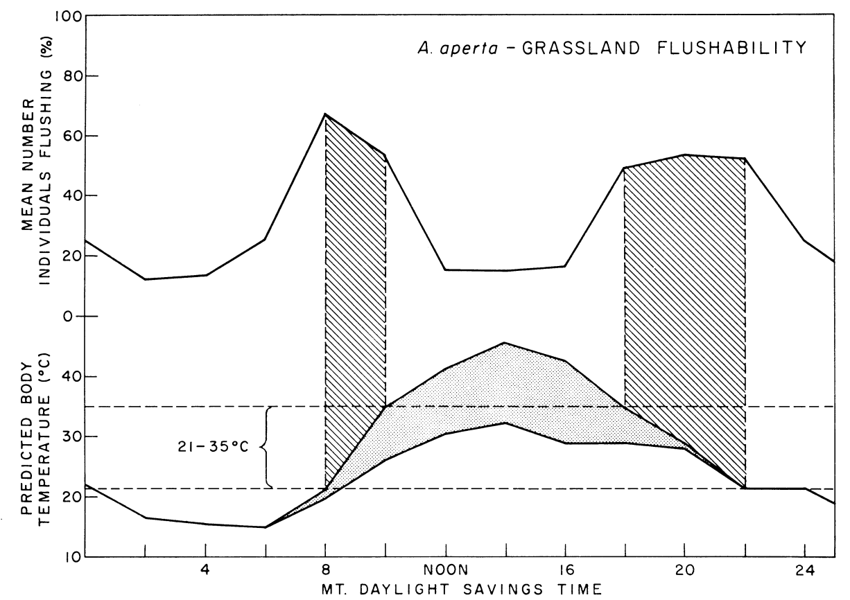 Graph of percent of spiders active on the sheet with time of day on the mixed-grassland study area in midsummer (July and August) imposed on predicted spider temperature under these conditions and assuming a web-over-litter substrate. Barred area under flushability curve represents time periods during which over 50 percent of the individuals were active. Stippled area represents range of spider temperatures, exact temperature dependent upon amount of exposure to solar radiation. Upper boundary of predicted temperature curve signifies spider temperature if in full sunlight. Lower boundary signifies spider temperature if in full shade. Area enclosed by dashed lines represents body temperature range within which over 50 percent of the spiders are active. From Riechert, S. E., and C. R. Tracy. 1975. P. 272.