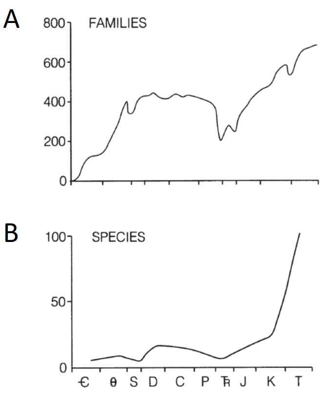 Comparativa entre curvas de diversidad del Fanerozoico capturadas considerando (A) familias y (B) especies. Imagen tomada de Brenchley & Harper (1997).