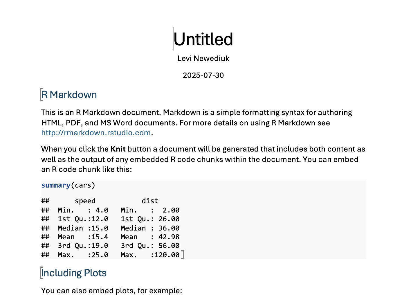 An MS Word document rendered from an Rmarkdown file