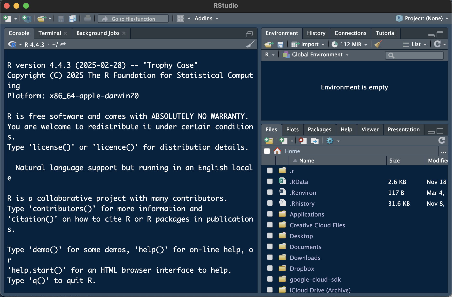 Opening RStudio for the first time