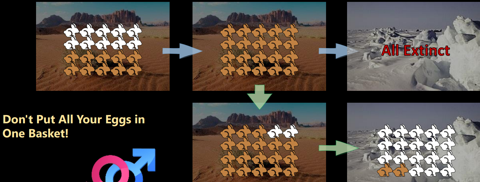 Example of Diversity Using Adaptation
