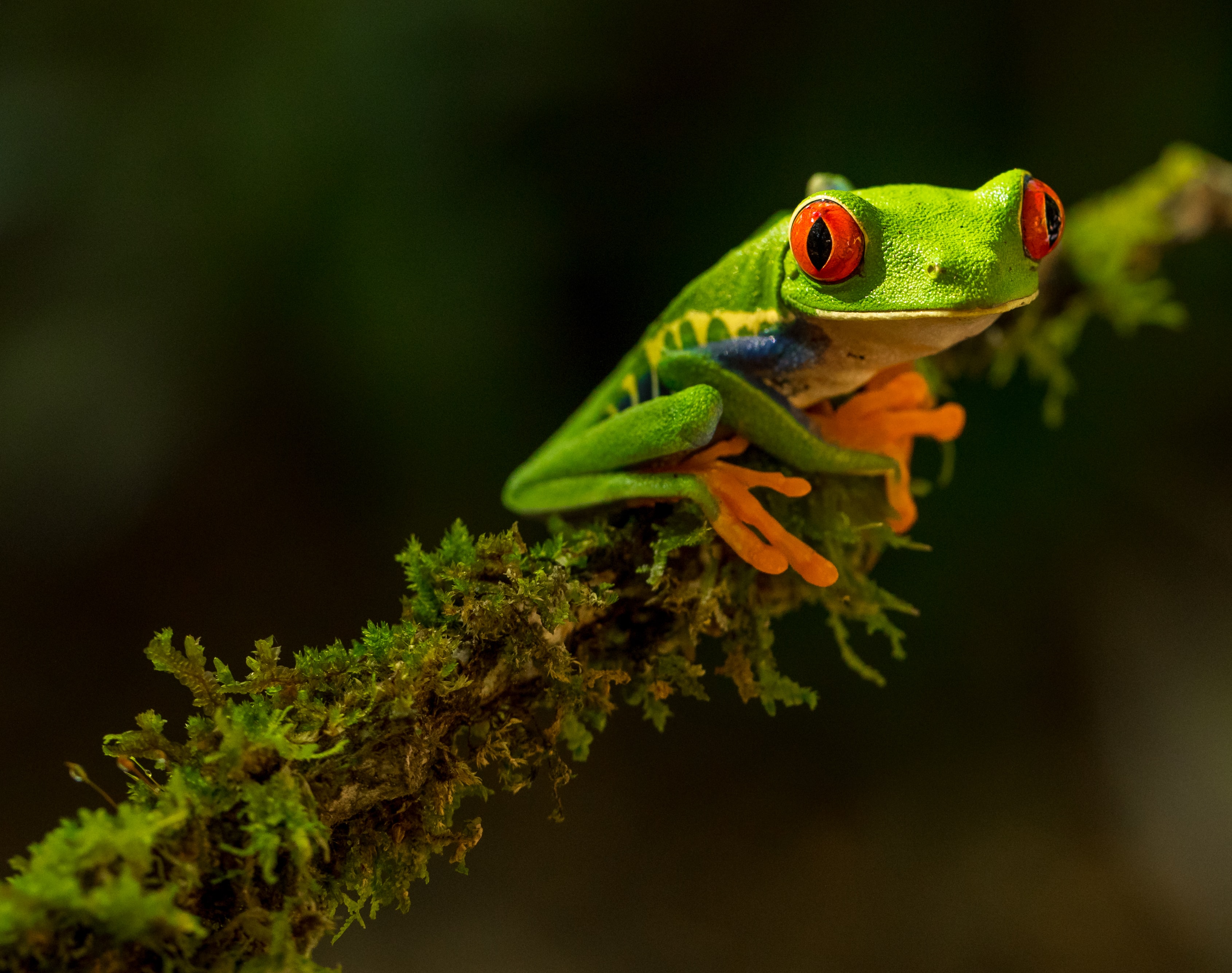Photo by Zdenek Machácek on Unsplash