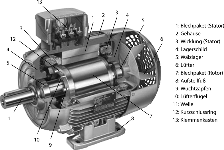 Grundlegener Aufbau eines Standard Asynchronmotors (Hering E., Martin R., Gutekunst J., Kempkes J. (2018) Elektrische Maschinen.)