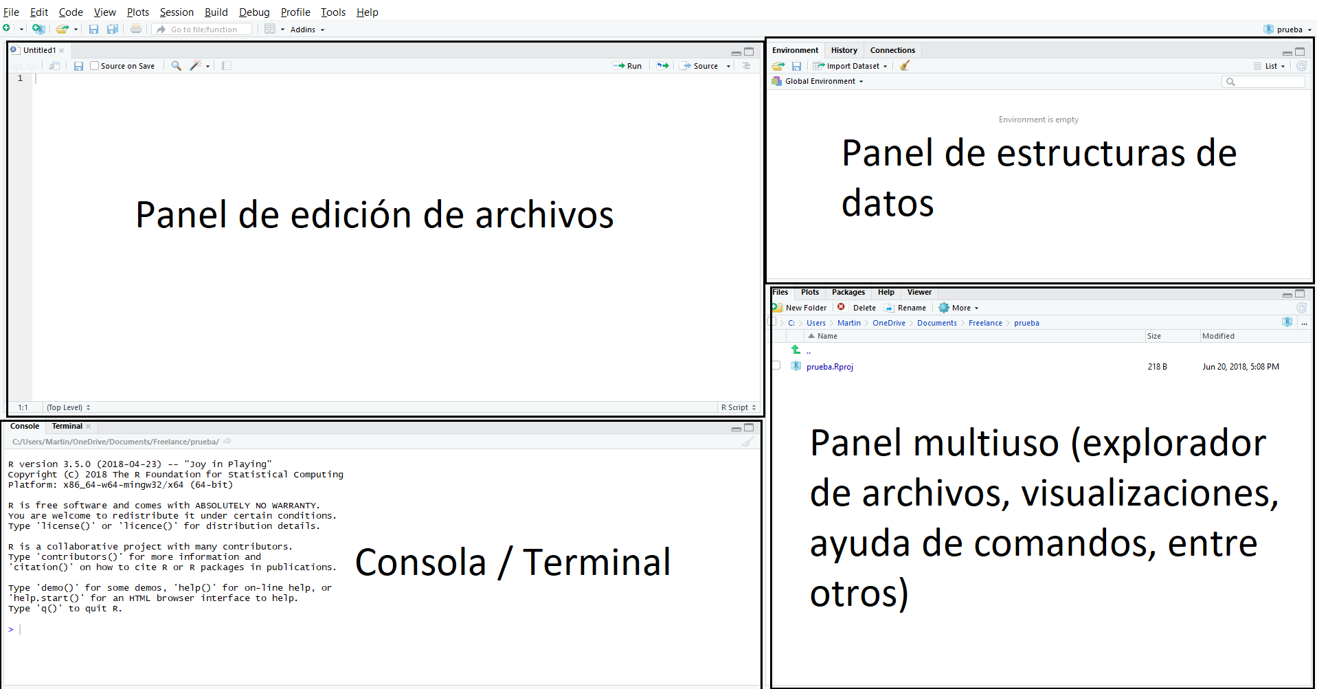 Impresión de pantalla de RStudio