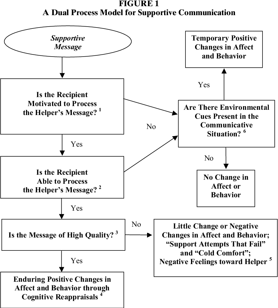 A Dual-Process Model for the Processing and Outcomes of Supportive Messages