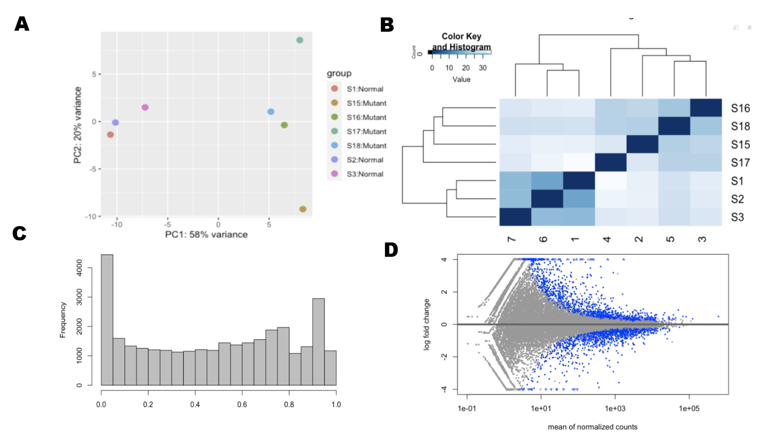 Data Exploration (A) Principle Components Analysis (B)Euclidian Distance Analysis (C)P-Value distribution is skewed to 1 (D) Differential expressed genes