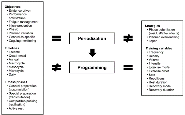 Periodisierung und Programing