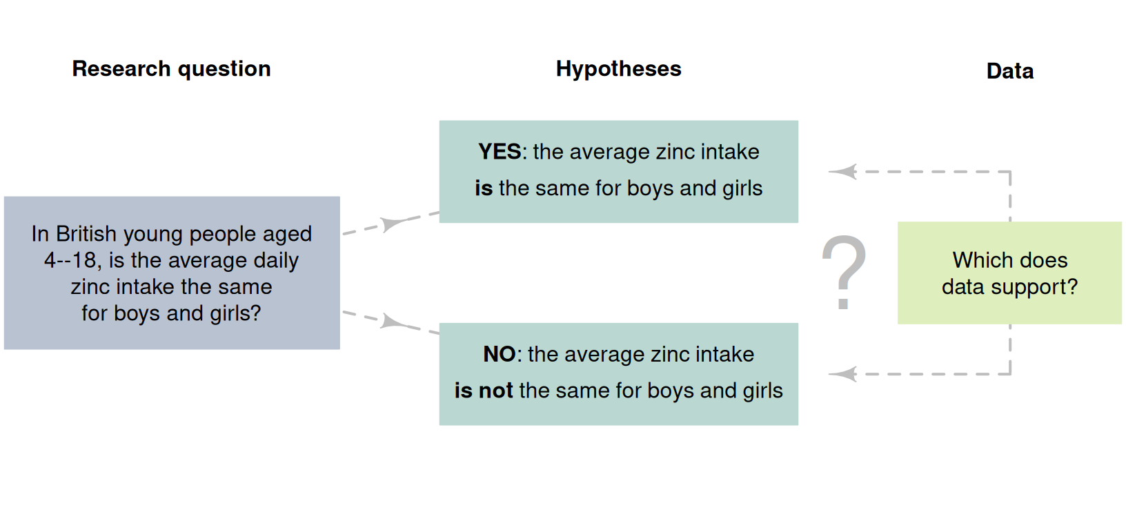 Two possible answers to the RQ (hypotheses) about zinc intake in children.
