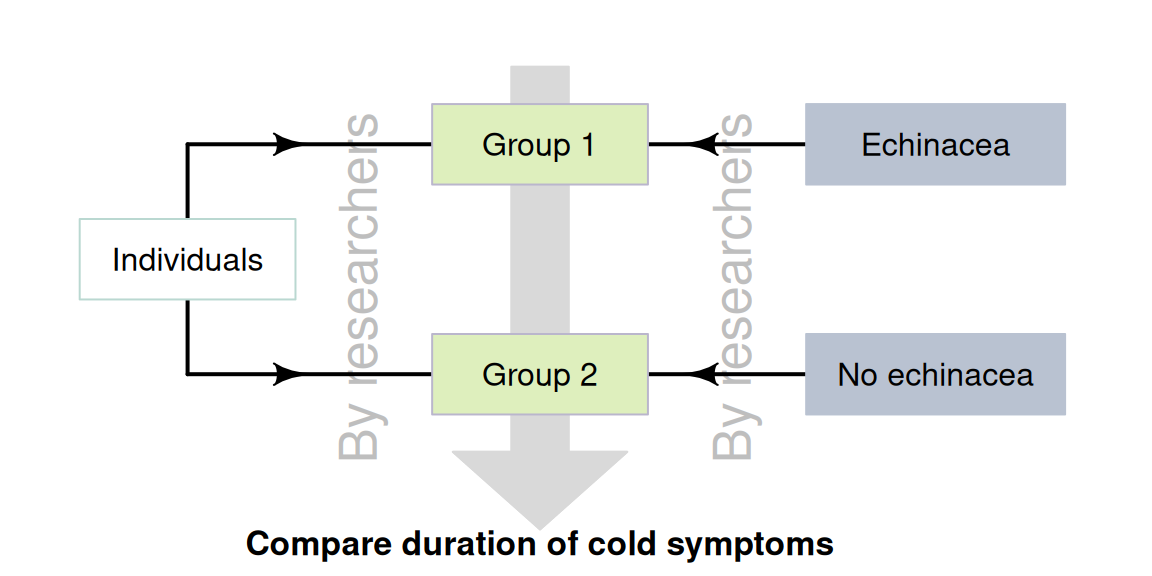 True experimental studies: researchers allocate individuals to groups, and treatments to groups.