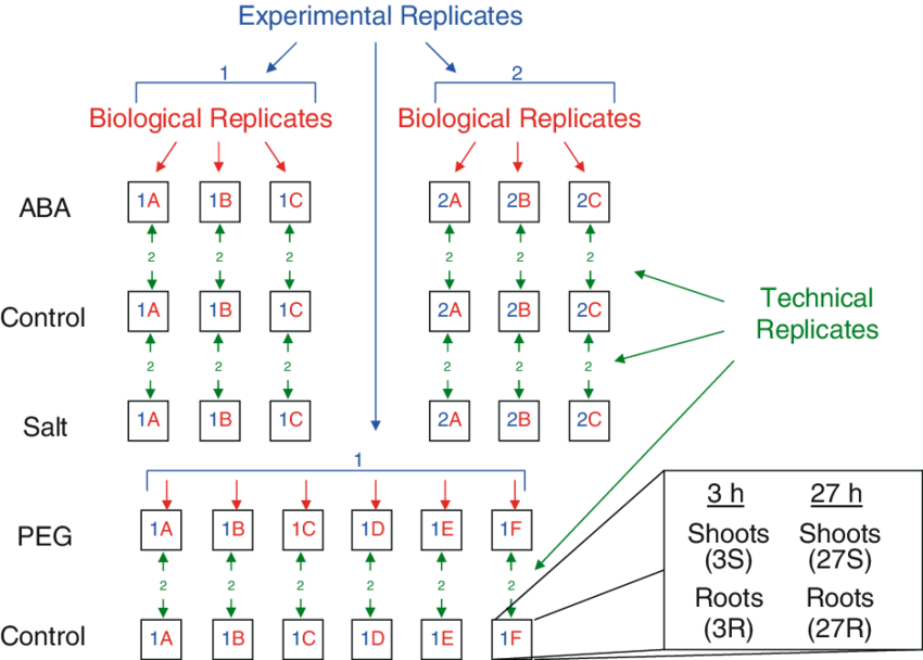 experimental, biological, technical replicates ( 11)