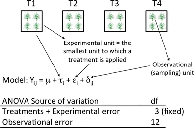 model assumption and experimental unit 1 ( 12 fig.1)