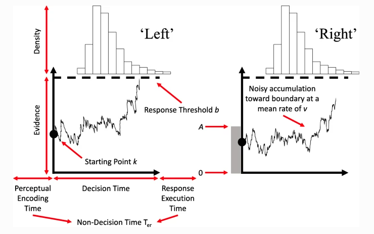 The racing diffusion model