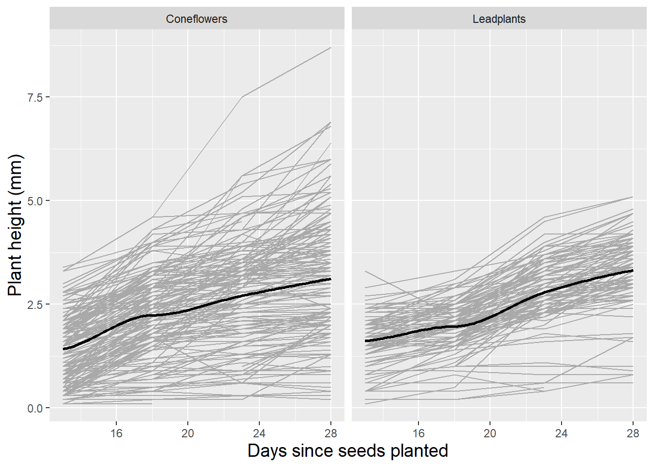 Spaghetti plot by species with loess fit. Each line represents one plant.