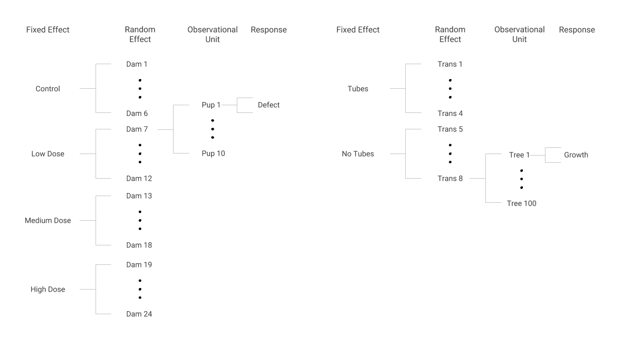Data structures in the Dams and Pups (left) and Tree Growth (right) case studies.