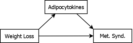 Box with the words weight loss inside, the predictor, with an arrow pointing to another box with the words metabolic syndrom inside, the outcome. The predictor box has an arrow pointing to a third box with the word adipocytokines inside, the mediator, and the mediator box has an arrow pointing to the outcome
