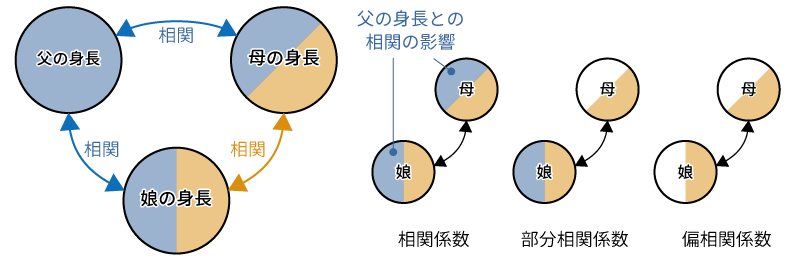父,母,娘の身長の関係と相関係数,部分相関係数,偏相関係数