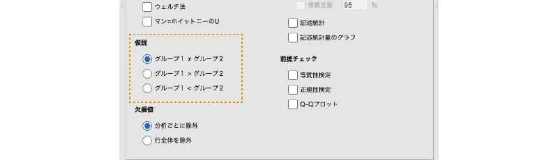 Hypothesis(仮説)の設定項目
