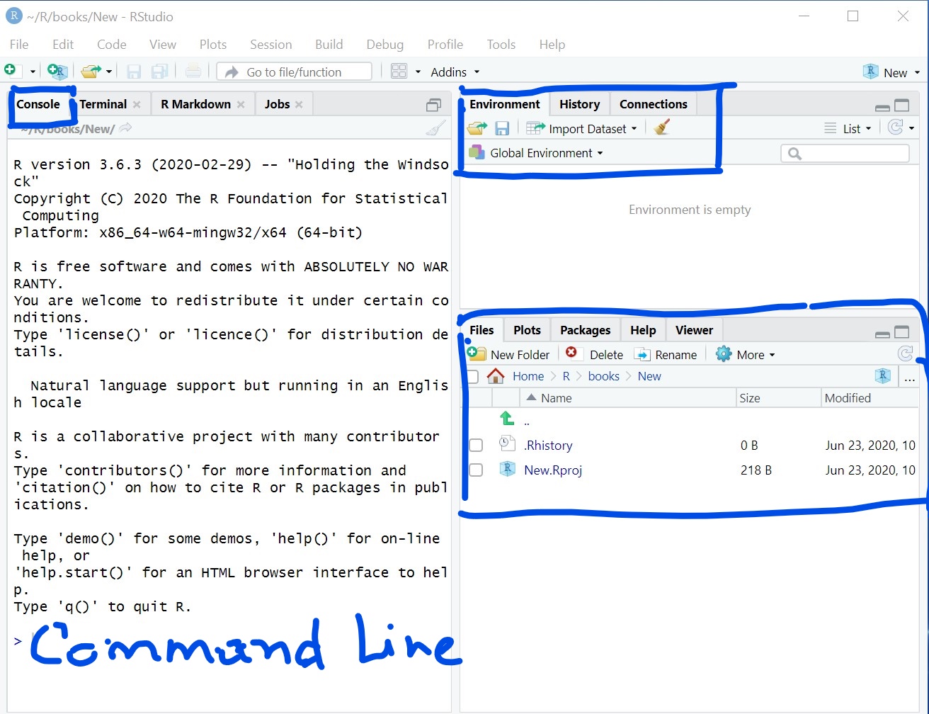 Interface for R with Panels