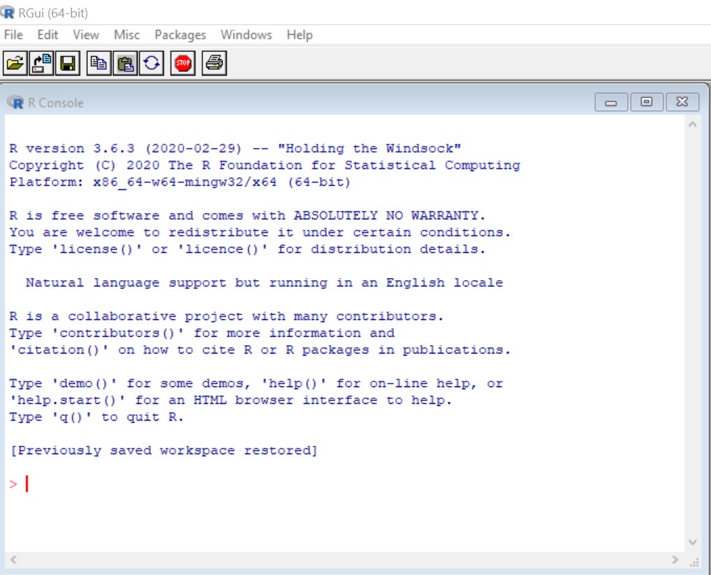 Interface for R