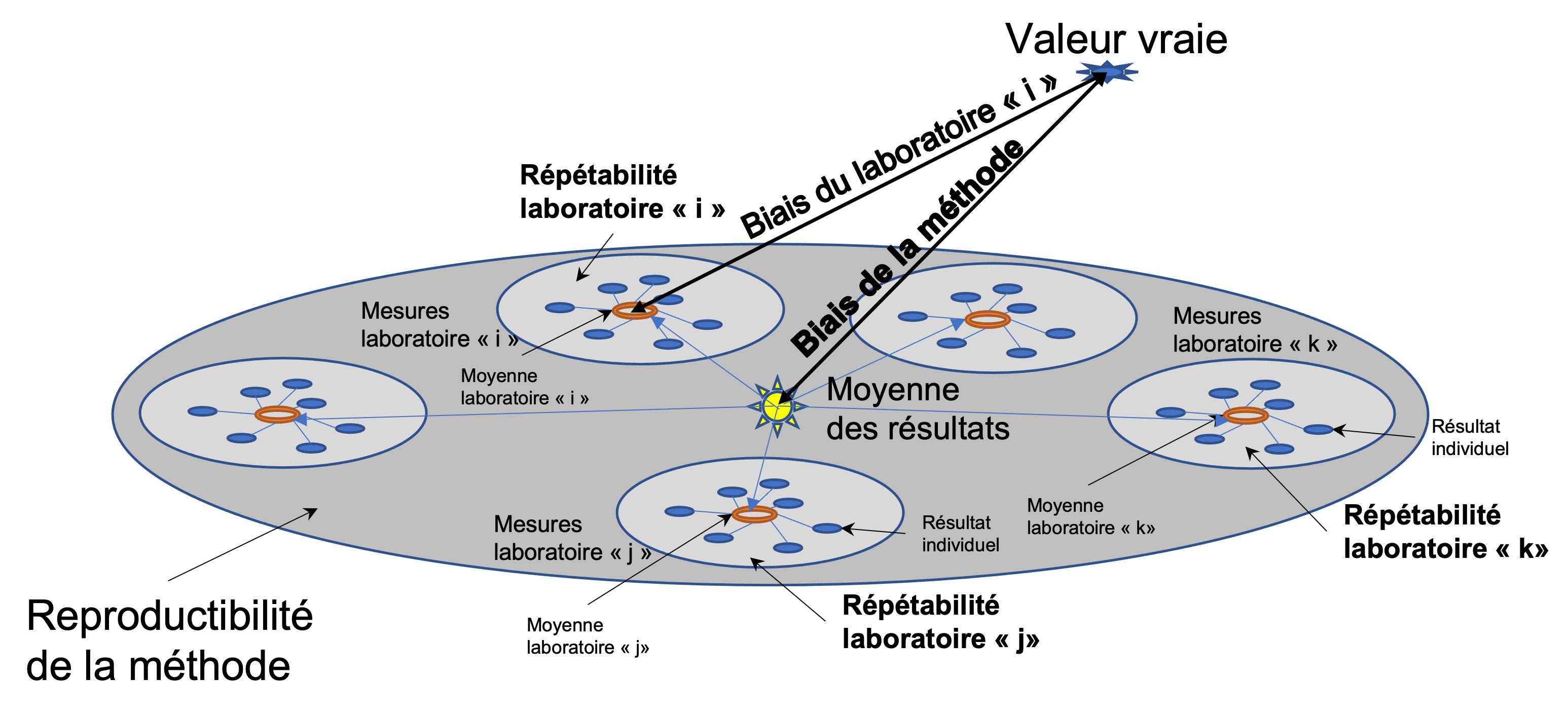 Figure 1 - Caractéristiques d'exactitude d'une méthode de mesure