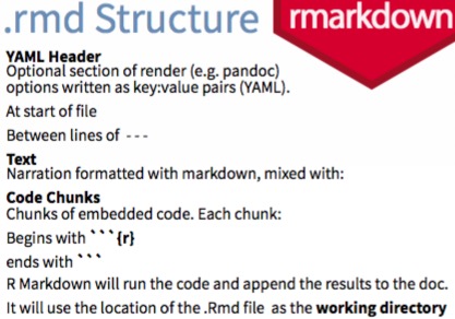 R markdown文件結構
